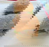 Taylor's Seafood - Accommodation Mooloolaba