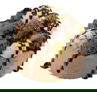 Wendy's - Moore Park - Accommodation Mooloolaba