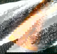 A Brothers Kebabs  Pizzas - Accommodation Mooloolaba