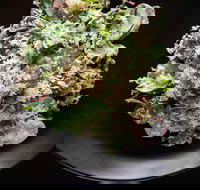 Arthur Waterhouse Lounge - Accommodation Mooloolaba