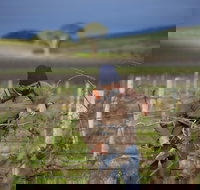 Kurtz Family Vineyards - Accommodation Mooloolaba