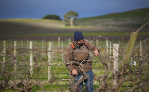 Kurtz Family Vineyards - Accommodation Mooloolaba 0