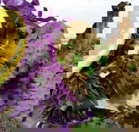 Noor Mahal Indian Restaurant - Accommodation Mooloolaba