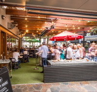 Henry  The Fox - Accommodation Mooloolaba