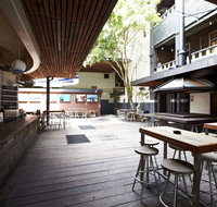 Magic Millions Bar - Hotel Steyne - Accommodation Mooloolaba