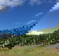 Freycinet Vineyard - Accommodation Mooloolaba