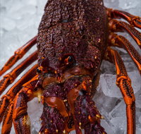 Lobster Shack Tasmania - Accommodation Mooloolaba