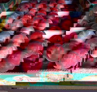 Martins Orchard - Accommodation Mooloolaba