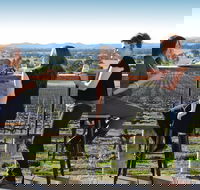 Moothi Estate Vineyard and Cellar Door - Accommodation Mooloolaba