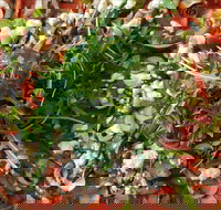 Mount Buninyong Winery - Accommodation Mooloolaba