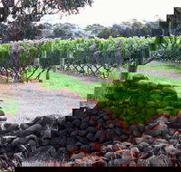 Spring Vale Vineyard - Accommodation Mooloolaba