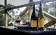 Craigie Knowe Vineyard & Cellar Door - thumb 1