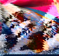 Donut King - Tarneit - Accommodation Mooloolaba