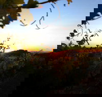 Glenbosch Wine Estate - Accommodation Mooloolaba