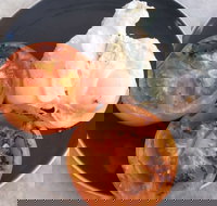 The Deck Poolside Bar  Restaurant - Accommodation Mooloolaba