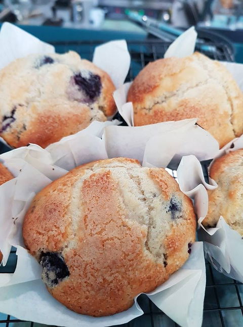 Two Tui's - Accommodation Mooloolaba 0