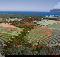 Wise Wine - Accommodation Mooloolaba