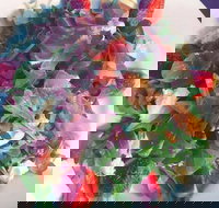 Cafe Bella Rosa - Accommodation Mooloolaba