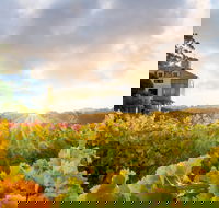 Hahndorf Hill Winery - Accommodation Mooloolaba