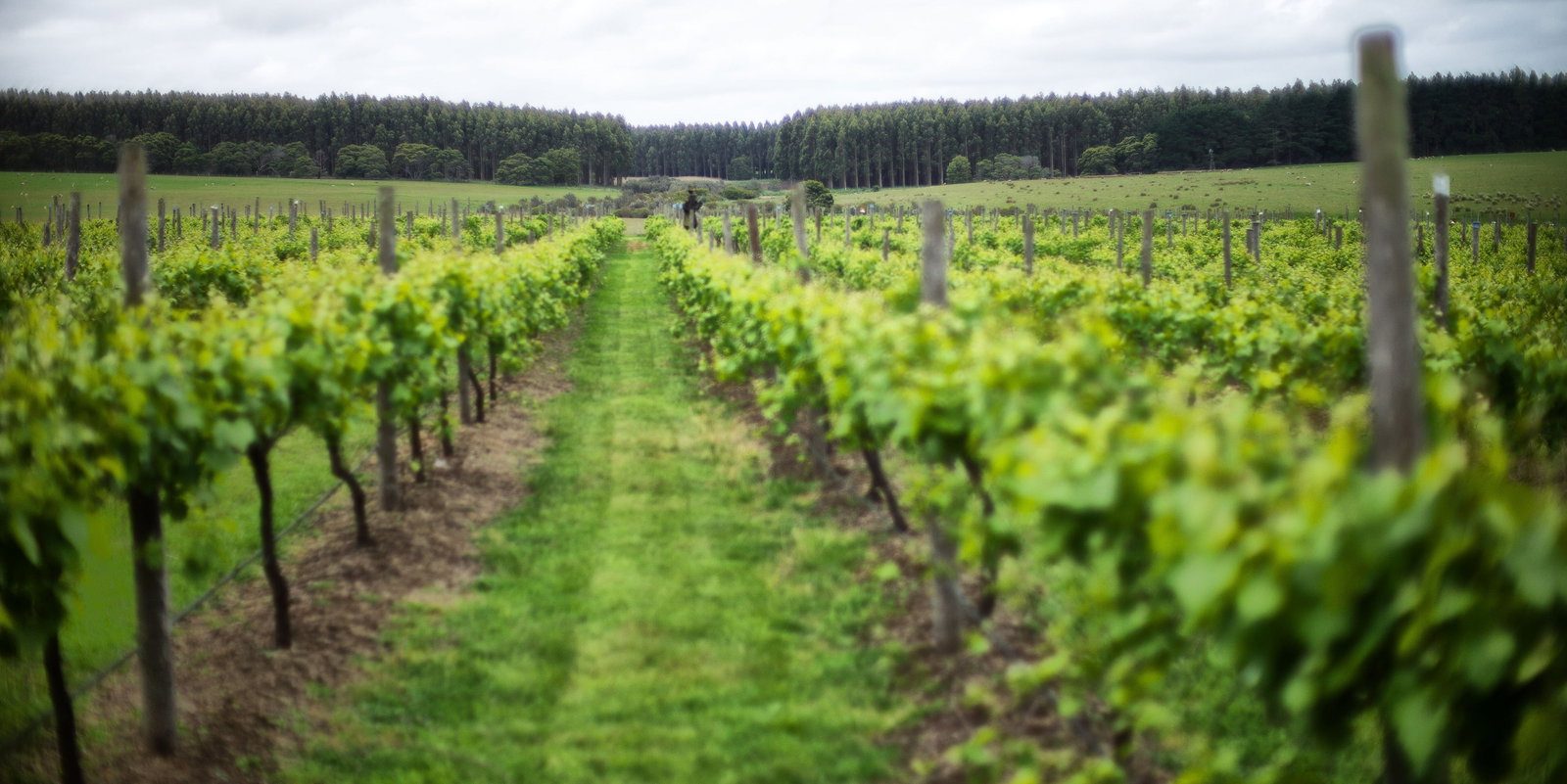 Condah Swamp ACT Accommodation Mooloolaba