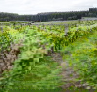 Suffoir Winery Brewery and Cidery - Accommodation Mooloolaba