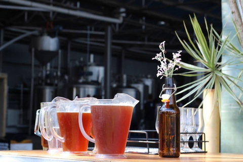 Ballistic Beer - Accommodation Mooloolaba 0