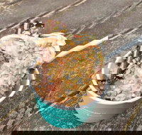 Blue Door - Accommodation Mooloolaba