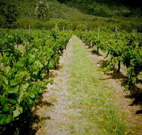 Gartelmann Wines - Accommodation Mooloolaba