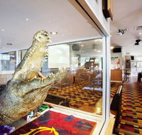 Lido Chinese Restaurant - Accommodation Mooloolaba