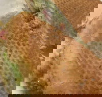 Sweet Blends Cafe - Accommodation Mooloolaba