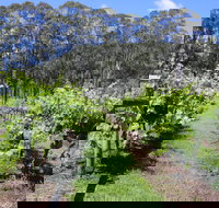Woongooroo Estate Winery - Accommodation Mooloolaba