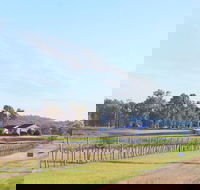 Blacklea Vineyard and Olive Grove - Accommodation Mooloolaba