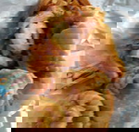 The Fish Inn - Accommodation Mooloolaba