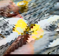 Travelling Bandit - Accommodation Mooloolaba