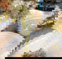 99 - Accommodation Mooloolaba