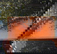 Clayridge Honey - Accommodation Mooloolaba