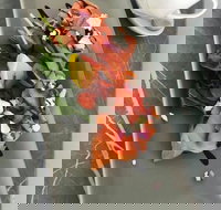 KALV  Co. Cafe and Wine Bar - Accommodation Mooloolaba