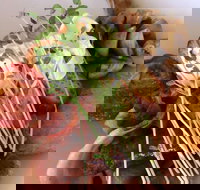 Maudy's Restaurant and Bar - Accommodation Mooloolaba