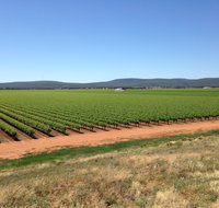 Melange Wines - Accommodation Mooloolaba