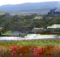 Milton Vineyard - Accommodation Mooloolaba