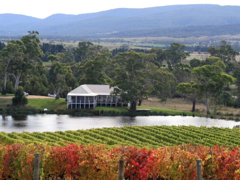 Milton Vineyard - Accommodation Mooloolaba 0