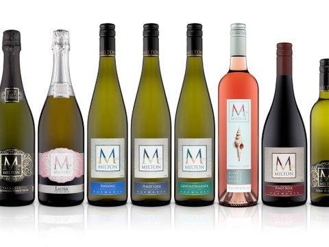 Milton Vineyard - Accommodation Mooloolaba 1