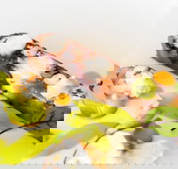 The Wild Herring - Accommodation Mooloolaba