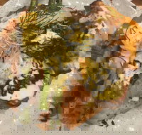 Toro Cafe - Accommodation Mooloolaba