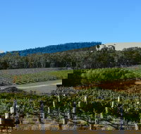 Twisted River Wines - Accommodation Mooloolaba