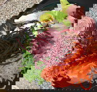 Cafe Rhubaba - Accommodation Mooloolaba