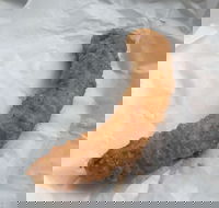 Blue Ocean - Accommodation Mooloolaba