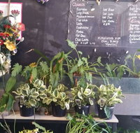 Cafe Essence - Accommodation Mooloolaba