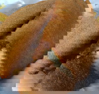 Fish Depot - Redland Bay - Accommodation Mooloolaba