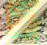 Eastern Palace - Accommodation Mooloolaba